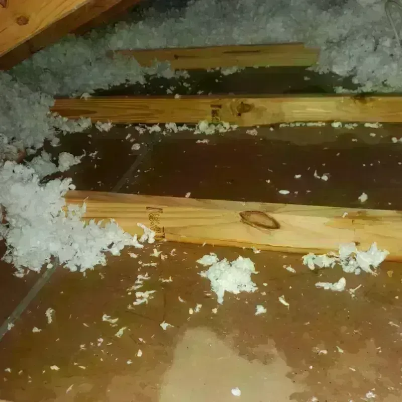 Attic Water Damage in Beverly Hills, TX